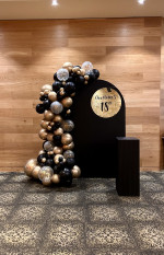 Acrylic Arch Backdrop - Black Photo - 2