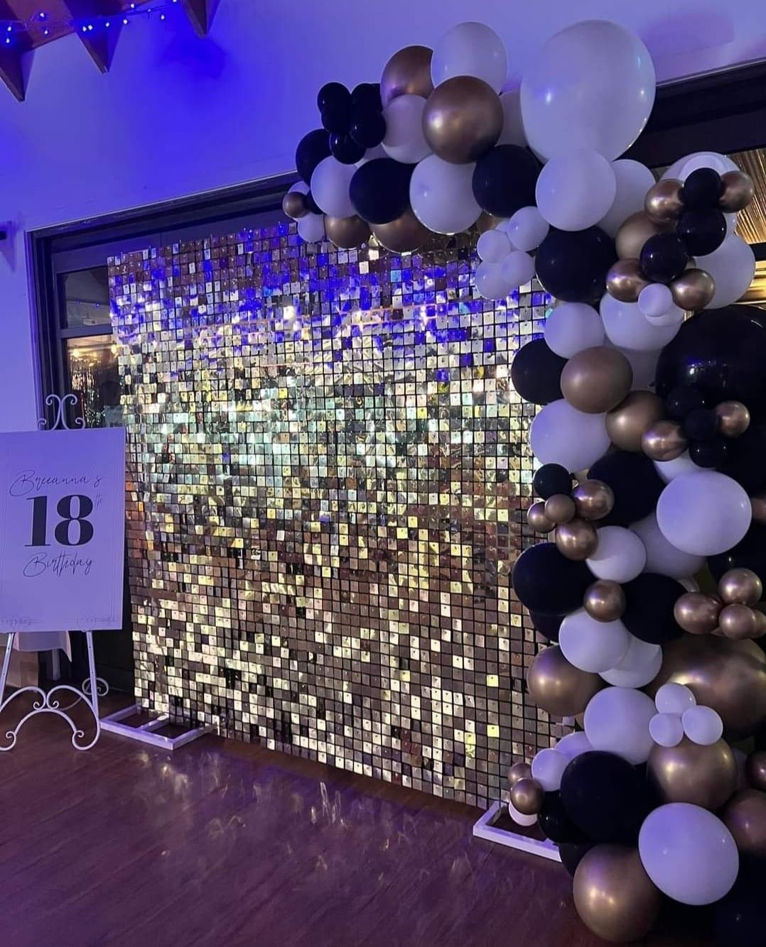 Shimmer Wall 18th Birthday Backdrop