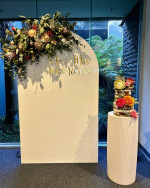 Acrylic Arch Backdrop - White Photo - 6