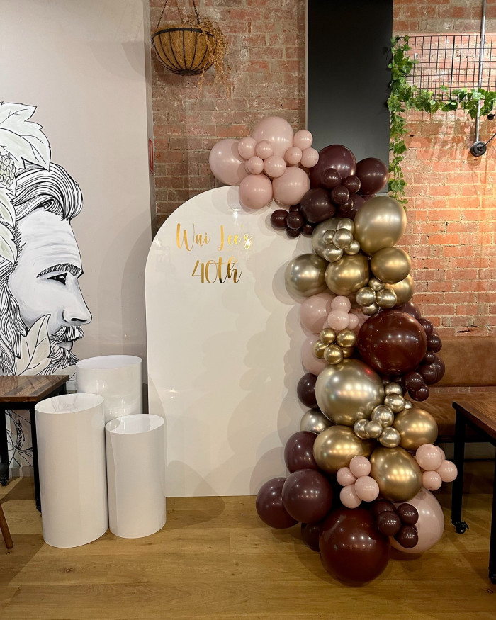 Acrylic Arch Backdrop - White Photo - 4